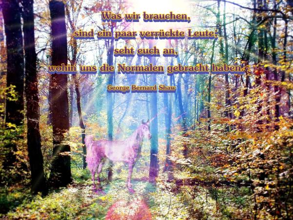 sonnenlicht-im-novemberwald-3-zauber-mit-spruch