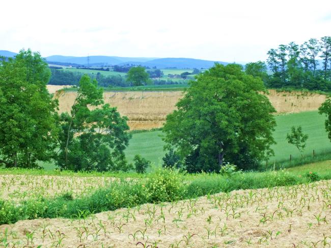 blick-zum-steinbruch-ende-mai