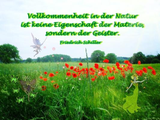 vollkommenheit-in-der-natur-sind-geister-schiller