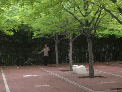 promenade plantée