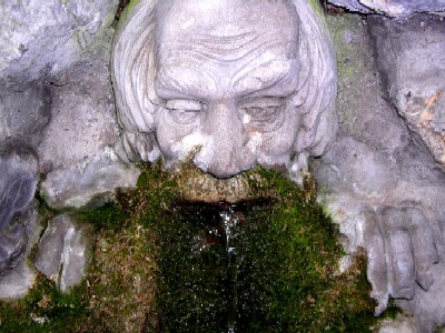 der wildenauer brunnen