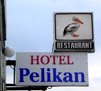 pelikan1