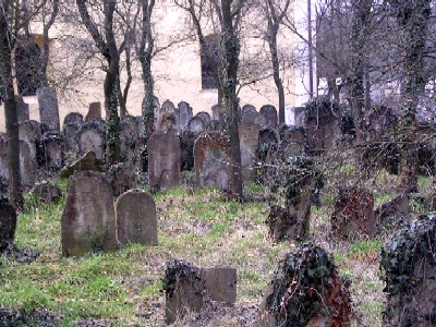 jewish cemetary and synagogue in straznice, moravia