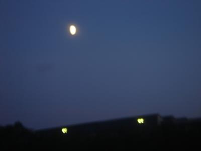mond