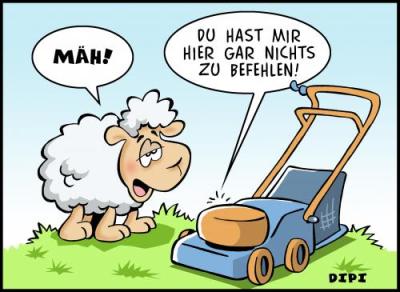 rasenmaeher_445585