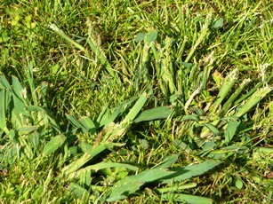 P1080821