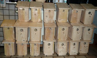 Vogelkasten-003