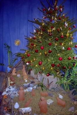 meine-bilder-weihnachtsbaum