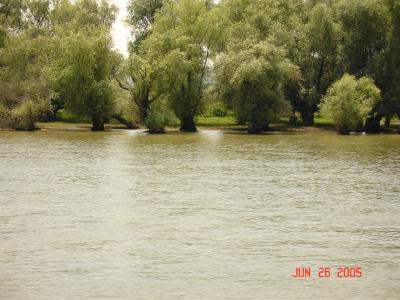 Die Donau im Delta