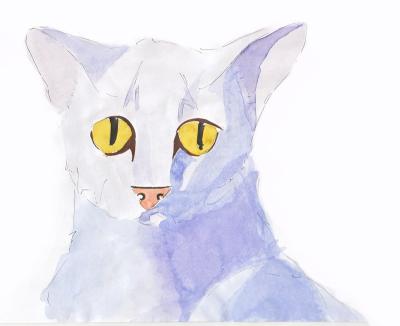 Katze-mit-Aquarellfarben-coloriert