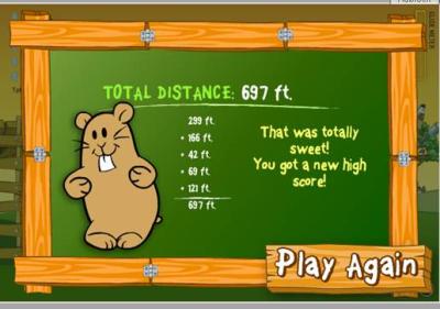 hamster2