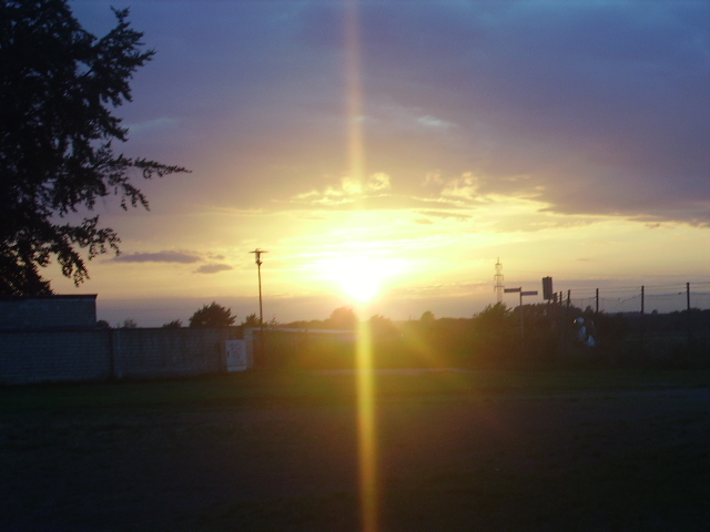 RIMG0019