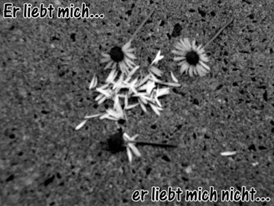 erliebtmich