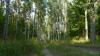 wandern