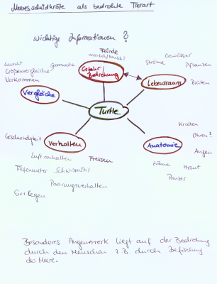 mindmap1