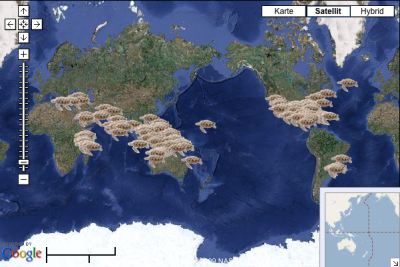 seaturtle-org