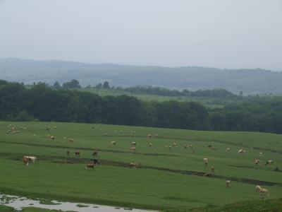 DSCF00731