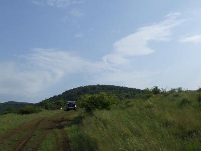 DSCF0097