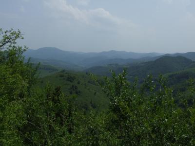 DSCF0370