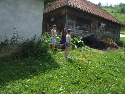 DSCF0383