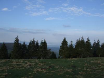 DSCF0608