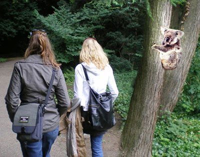 Waren die beiden denn jetzt schon downunder?