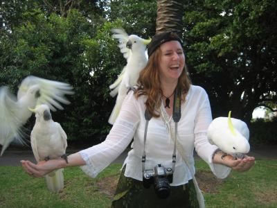 Vier kraeftige verfressene Voegel, dass verursacht Gaensehaut