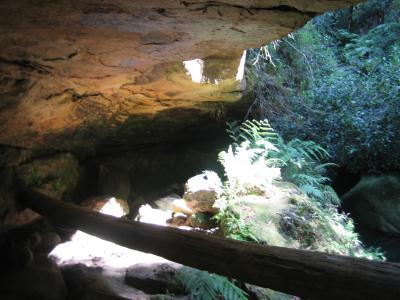 Pfad-durch-den-Canyon