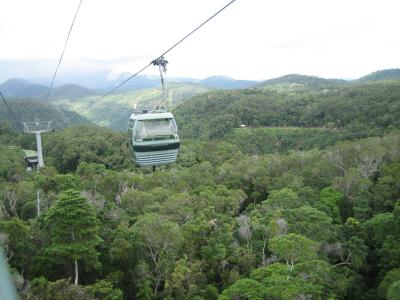 Skyrail - mit der Seilbahn ueber dem tropischen Regenwald