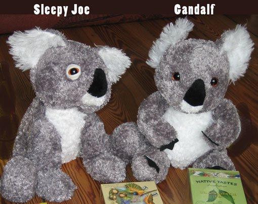 Sleepy Joe und Gandalf, zwei Brüder aus Australien. Sie werden bald getrennt, weil Gandalf nach Brandenburg zieht.