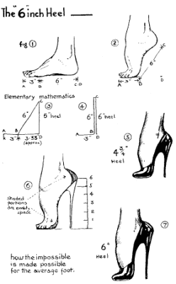 bizfootdynamics