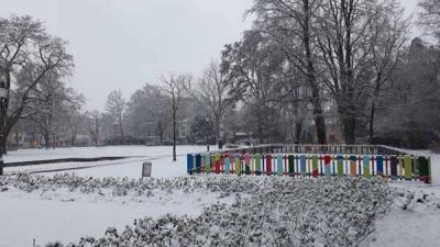 Winter-im-Stadtgarten
