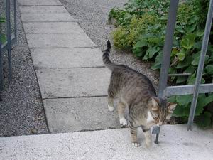 binweg