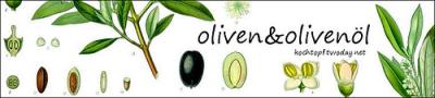 olivenbaumquer1
