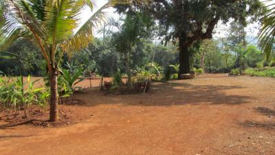 Goa01