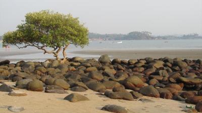 Goa08