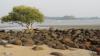 Goa08