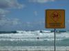 Maechtige Wellen brechen hier am Strand - ein Paradies fuer Surfer