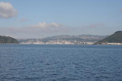 Blick auf Dunedin von der Otago Peninsula 