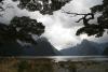 Mystische Stimmung am Milford Sound, einer der am meisten fotografierten Orte Neuseelands