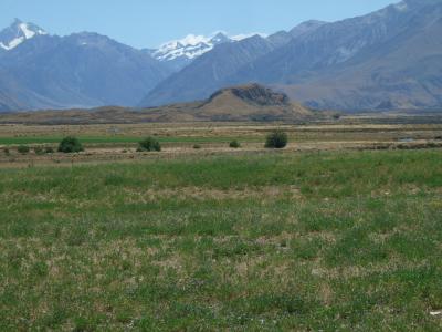 Auf diesem Huegel liess Regisseur Peter Jackson das Schloss Edoras fuer Herr der Ringe nachbauen. Auf diesem Huegel liess Regisseur Peter Jackson das Schloss Edoras fuer Herr der Ringe nachbauen.