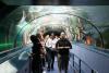 Im Unterwassertunnel, Sydney Aquarium