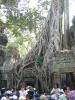 taprohm2