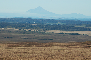 Lone Taranaki looming at the horizon