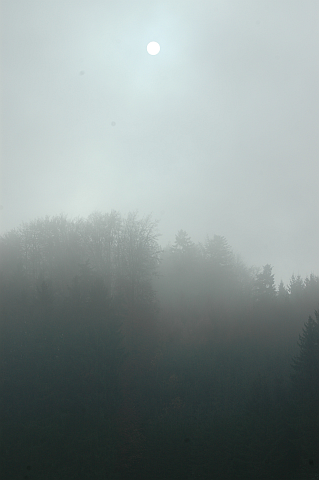 Dunst und Nebel