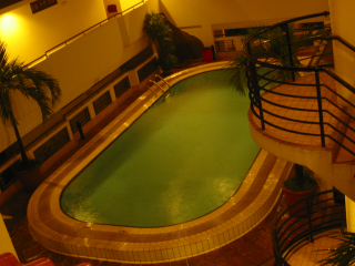 Alocassia Pool