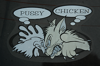 Pussy & Chicken