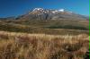 Sweet Mount Ruapehu