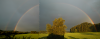 Rainbow over Albis