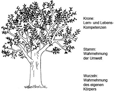 baum_web